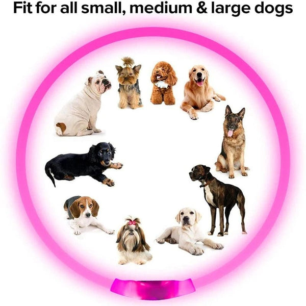 Planet Gates Led Usb Dog Collar Pet Dog Night Luminous Charge Collar Led Night Safety Flashing Glow Dog Loss Prevention Collar Pet Accessorie