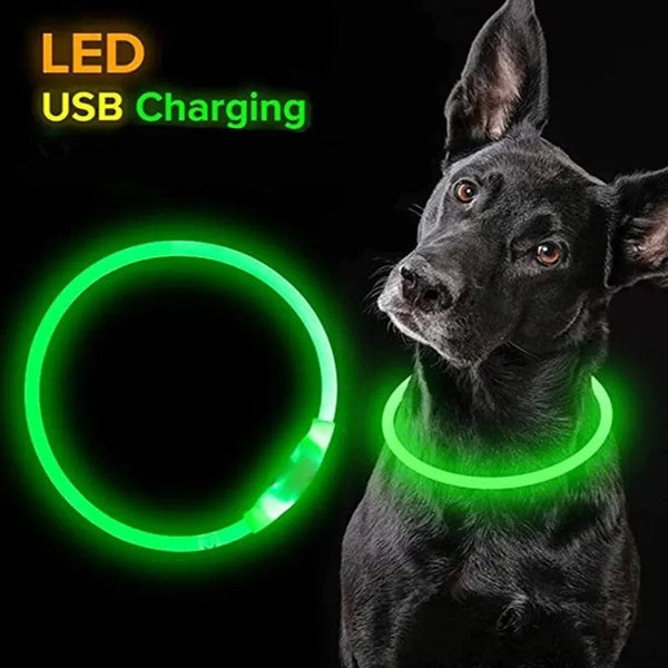 Planet Gates Led Usb Dog Collar Pet Dog Night Luminous Charge Collar Led Night Safety Flashing Glow Dog Loss Prevention Collar Pet Accessorie