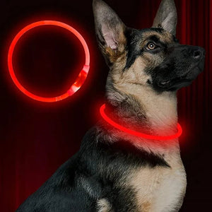 Planet Gates Led Usb Dog Collar Pet Dog Night Luminous Charge Collar Led Night Safety Flashing Glow Dog Loss Prevention Collar Pet Accessorie