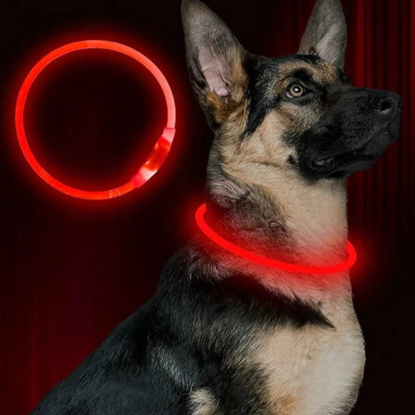 Planet Gates Led Usb Dog Collar Pet Dog Night Luminous Charge Collar Led Night Safety Flashing Glow Dog Loss Prevention Collar Pet Accessorie