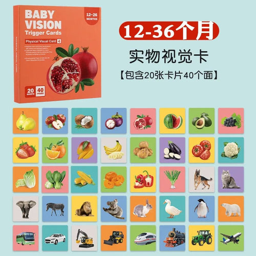 Planet Gates Level 4 3 to 6 Months Vision Trigger Cards Early Education Cards Training Newborn Babies Visual Stimulation Practice Montessori Toy