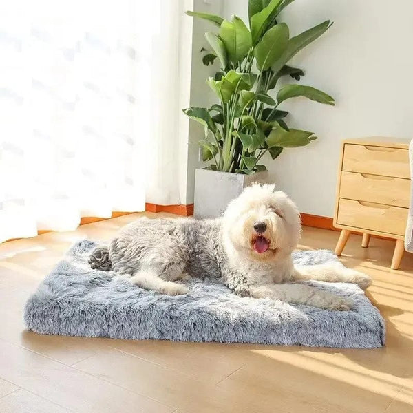 Planet Gates Long Plush Dog Bed with Non-slip Bottom Orthopedic Foam Dog Bed Removable Cover for Large Medium Small Dogs Machine Washable