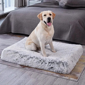 Planet Gates Long Plush Dog Bed with Non-slip Bottom Orthopedic Foam Dog Bed Removable Cover for Large Medium Small Dogs Machine Washable