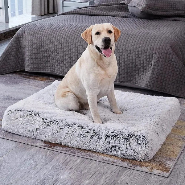 Planet Gates Long Plush Dog Bed with Non-slip Bottom Orthopedic Foam Dog Bed Removable Cover for Large Medium Small Dogs Machine Washable
