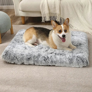 Planet Gates Long Plush Dog Bed with Non-slip Bottom Orthopedic Foam Dog Bed Removable Cover for Large Medium Small Dogs Machine Washable