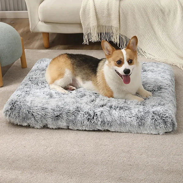 Planet Gates Long Plush Dog Bed with Non-slip Bottom Orthopedic Foam Dog Bed Removable Cover for Large Medium Small Dogs Machine Washable