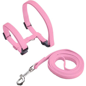 Planet Gates Low Price Rabbit Cat Harness and Leash Set Adjustable Nylon Harnesses for Bunny Kitten Pet Outdoor Walking Supplies Accessories