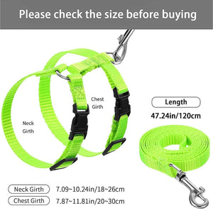 Planet Gates Low Price Rabbit Cat Harness and Leash Set Adjustable Nylon Harnesses for Bunny Kitten Pet Outdoor Walking Supplies Accessories