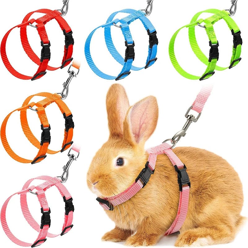Planet Gates Low Price Rabbit Cat Harness and Leash Set Adjustable Nylon Harnesses for Bunny Kitten Pet Outdoor Walking Supplies Accessories