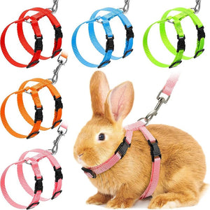 Planet Gates Low Price Rabbit Cat Harness and Leash Set Adjustable Nylon Harnesses for Bunny Kitten Pet Outdoor Walking Supplies Accessories