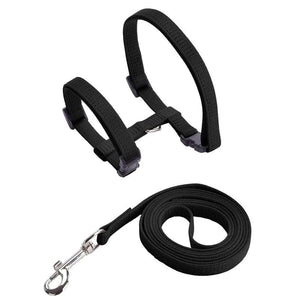Planet Gates Low Price Rabbit Cat Harness and Leash Set Adjustable Nylon Harnesses for Bunny Kitten Pet Outdoor Walking Supplies Accessories