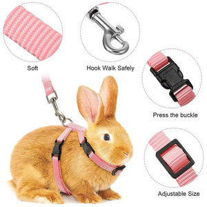 Planet Gates Low Price Rabbit Cat Harness and Leash Set Adjustable Nylon Harnesses for Bunny Kitten Pet Outdoor Walking Supplies Accessories