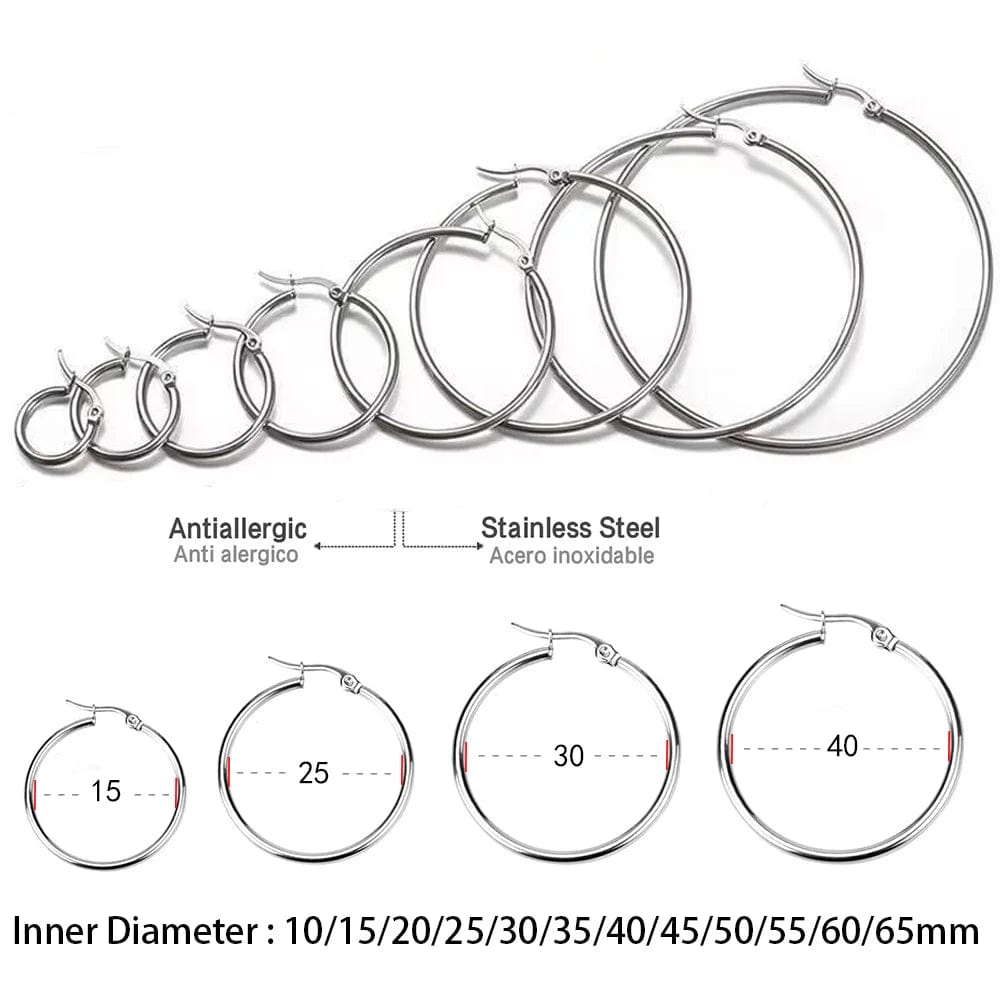 Planet Gates LUXUSTEEL 2Pcs 10-70mm Stainless Steel Hoop Earrings For Women Men Silver Color Round Small Big Circle Huggies Punk Jewelry