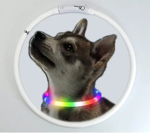 Planet Gates M-50CM / CHINA 3 Modes Dog Luminou Charge Collar Led Usb Cat Silicone Colorful Collar Detachable Night Glow Pet Loss Prevention Dog Accessories