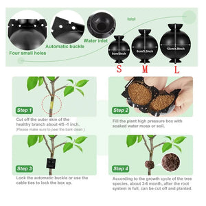 Planet Gates M black 8pcs 20Pcs 10Pcs 8Pcs Reusable Plant Rooting Ball Cutting Grafting Rooting Ball Equipment Garden Sapling Propagation Breeding Box