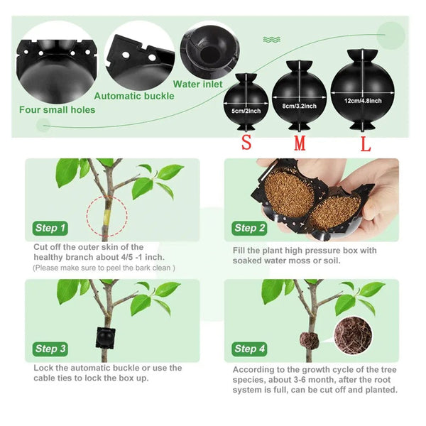Planet Gates M black 8pcs 20Pcs 10Pcs 8Pcs Reusable Plant Rooting Ball Cutting Grafting Rooting Ball Equipment Garden Sapling Propagation Breeding Box
