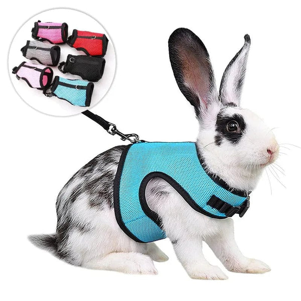 Planet Gates Mesh Breathable Ferret Bunny Harness Leash Set for Small Animals Rabbit Hamsters Summer Walking Pet Lead mascotas Accessories