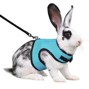 Planet Gates Mesh Breathable Ferret Bunny Harness Leash Set for Small Animals Rabbit Hamsters Summer Walking Pet Lead mascotas Accessories