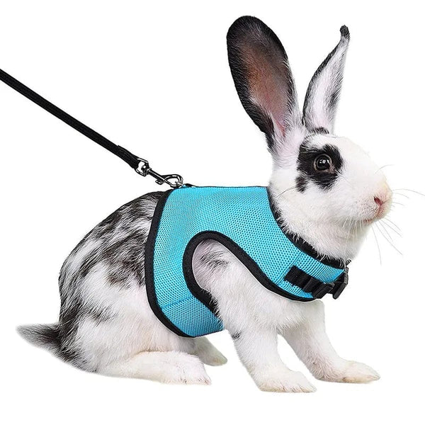 Planet Gates Mesh Breathable Ferret Bunny Harness Leash Set for Small Animals Rabbit Hamsters Summer Walking Pet Lead mascotas Accessories