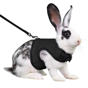 Planet Gates Mesh Breathable Ferret Bunny Harness Leash Set for Small Animals Rabbit Hamsters Summer Walking Pet Lead mascotas Accessories