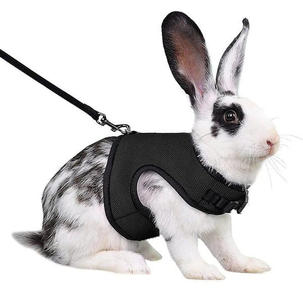 Planet Gates Mesh Breathable Ferret Bunny Harness Leash Set for Small Animals Rabbit Hamsters Summer Walking Pet Lead mascotas Accessories