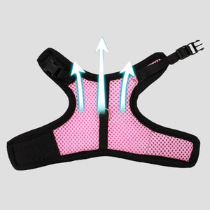 Planet Gates Mesh Breathable Ferret Bunny Harness Leash Set for Small Animals Rabbit Hamsters Summer Walking Pet Lead mascotas Accessories