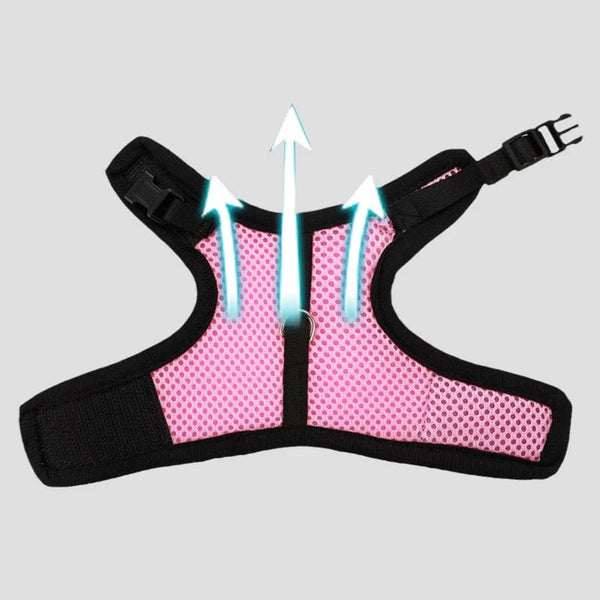 Planet Gates Mesh Breathable Ferret Bunny Harness Leash Set for Small Animals Rabbit Hamsters Summer Walking Pet Lead mascotas Accessories