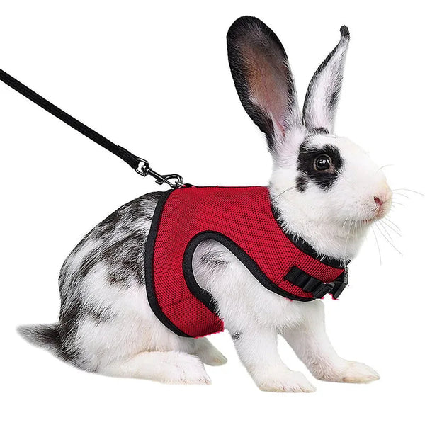 Planet Gates Mesh Breathable Ferret Bunny Harness Leash Set for Small Animals Rabbit Hamsters Summer Walking Pet Lead mascotas Accessories