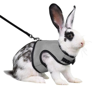 Planet Gates Mesh Breathable Ferret Bunny Harness Leash Set for Small Animals Rabbit Hamsters Summer Walking Pet Lead mascotas Accessories