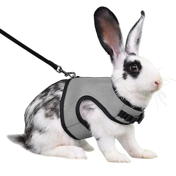 Planet Gates Mesh Breathable Ferret Bunny Harness Leash Set for Small Animals Rabbit Hamsters Summer Walking Pet Lead mascotas Accessories