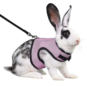 Planet Gates Mesh Breathable Ferret Bunny Harness Leash Set for Small Animals Rabbit Hamsters Summer Walking Pet Lead mascotas Accessories