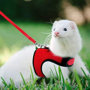 Planet Gates Mesh Breathable Ferret Bunny Harness Leash Set for Small Animals Rabbit Hamsters Summer Walking Pet Lead mascotas Accessories