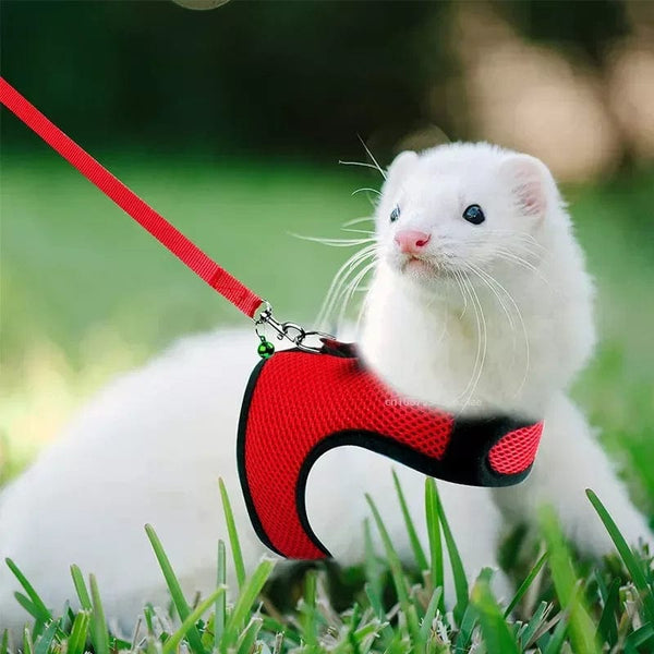Planet Gates Mesh Breathable Ferret Bunny Harness Leash Set for Small Animals Rabbit Hamsters Summer Walking Pet Lead mascotas Accessories