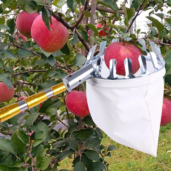 Planet Gates Metal Fruit Picker for High Tree Orchard Apple Peach Cherry Catcher Farm Garden Picking Tool Portable Fruit Collection Pouch