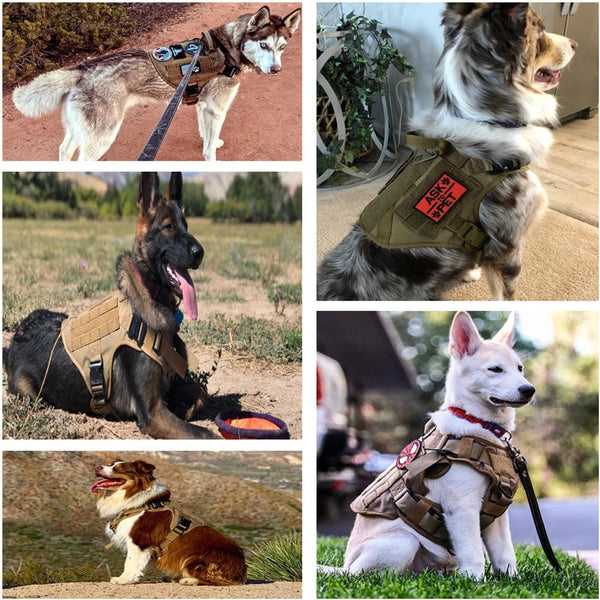 Planet Gates Military Large Dog Harness Pet German Shepherd K9 Malinois Training Vest Tactical Dog Harness And Leash Set For Dogs Accessories