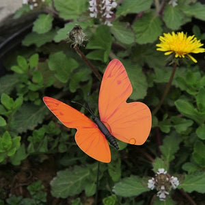 Planet Gates Mixed color / 10pcs 10pcs Butterfly Garden Stake, Plastic Yard Sign With Stake For Garden Decor, Halloween Decor, Fall Decor, Wedding