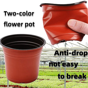 Planet Gates Mixed Size - 20pcs 4 Size Plant Pot Garden Nursery Seed Starting Flowerpots Lightweight Succulent Seedling Tray Flower Vegetable Container Box