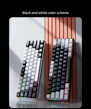 Planet Gates MK61-WH / Red Switch MUCAI MK61 USB Gaming Mechanical Keyboard Red Switch RGB Backlit Hot Swappable 61 Keys Wired Detachable Cable