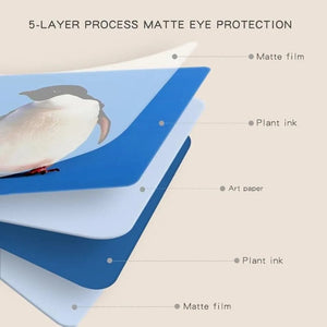 Planet Gates Montessori 0-12Month Baby Vision Stimulation Cards Black and White Contrast Cards Stimulate Newborn Visual Early Learning Toys