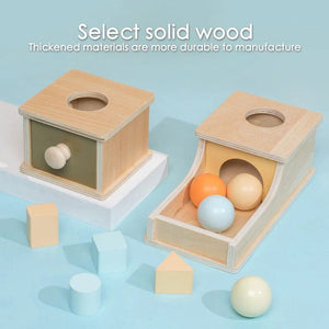 Planet Gates Montessori Early Education Children 0-3 Intelligence Development Wooden Round Ball Educational Baby Target Box Teaching Aids Toy