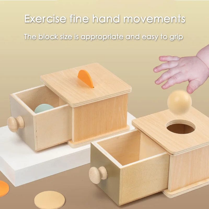 Planet Gates Montessori Early Education Children 0-3 Intelligence Development Wooden Round Ball Educational Baby Target Box Teaching Aids Toy