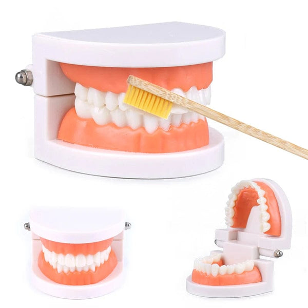 Planet Gates Montessori Educational Toys for Children Early Learning Kids Intelligence Brushing Tooth Teaching Aids Simulated Practical Life