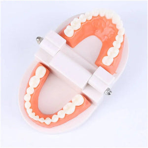 Planet Gates Montessori Educational Toys for Children Early Learning Kids Intelligence Brushing Tooth Teaching Aids Simulated Practical Life