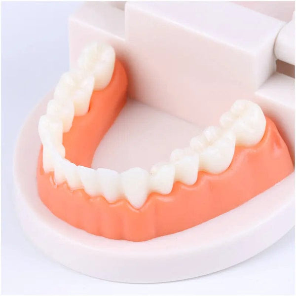 Planet Gates Montessori Educational Toys for Children Early Learning Kids Intelligence Brushing Tooth Teaching Aids Simulated Practical Life