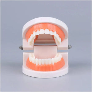 Planet Gates Montessori Educational Toys for Children Early Learning Kids Intelligence Brushing Tooth Teaching Aids Simulated Practical Life