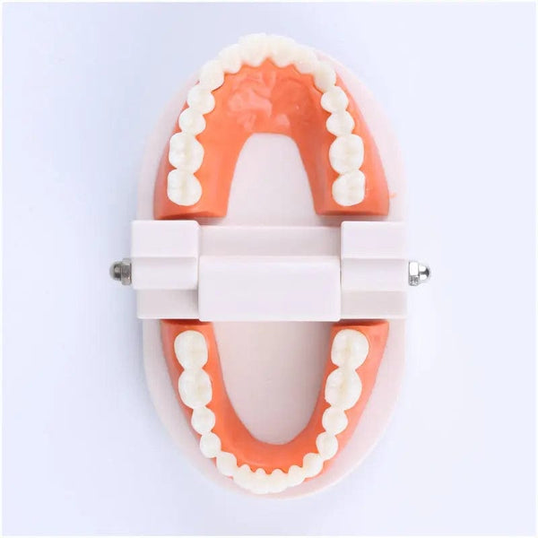 Planet Gates Montessori Educational Toys for Children Early Learning Kids Intelligence Brushing Tooth Teaching Aids Simulated Practical Life