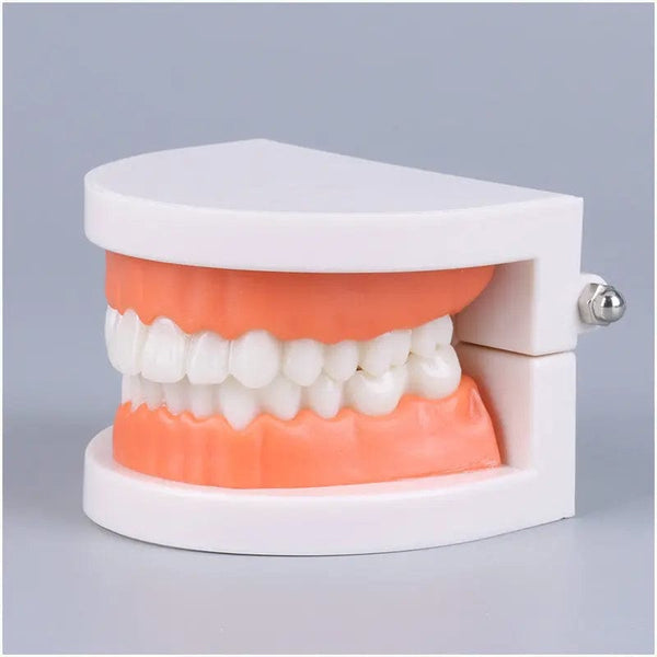 Planet Gates Montessori Educational Toys for Children Early Learning Kids Intelligence Brushing Tooth Teaching Aids Simulated Practical Life