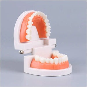 Planet Gates Montessori Educational Toys for Children Early Learning Kids Intelligence Brushing Tooth Teaching Aids Simulated Practical Life