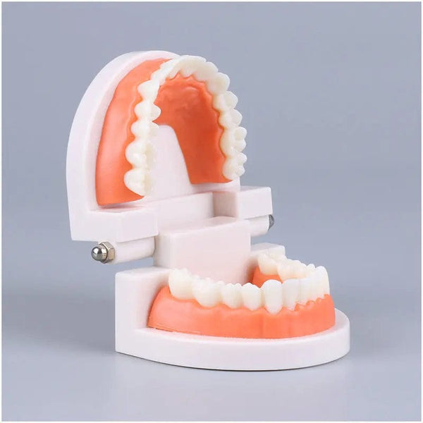 Planet Gates Montessori Educational Toys for Children Early Learning Kids Intelligence Brushing Tooth Teaching Aids Simulated Practical Life