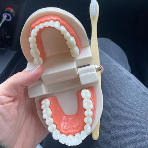 Planet Gates Montessori Educational Toys for Children Early Learning Kids Intelligence Brushing Tooth Teaching Aids Simulated Practical Life